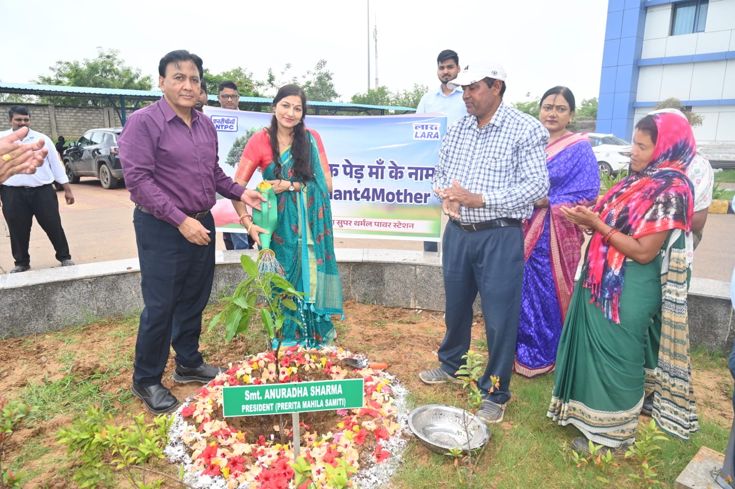 Ntpc Lara Plantation mother tree
