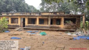 Elephant's havoc in silk center bark (Kansabahar)
